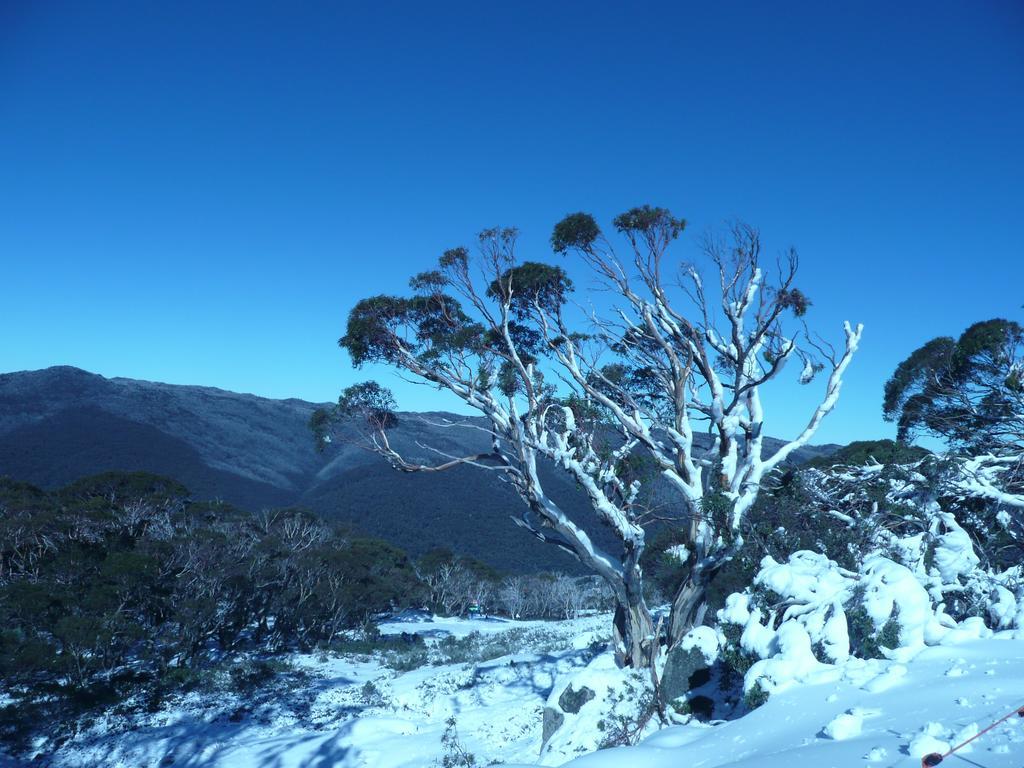 Chill-Out - Thredbo Quarto foto