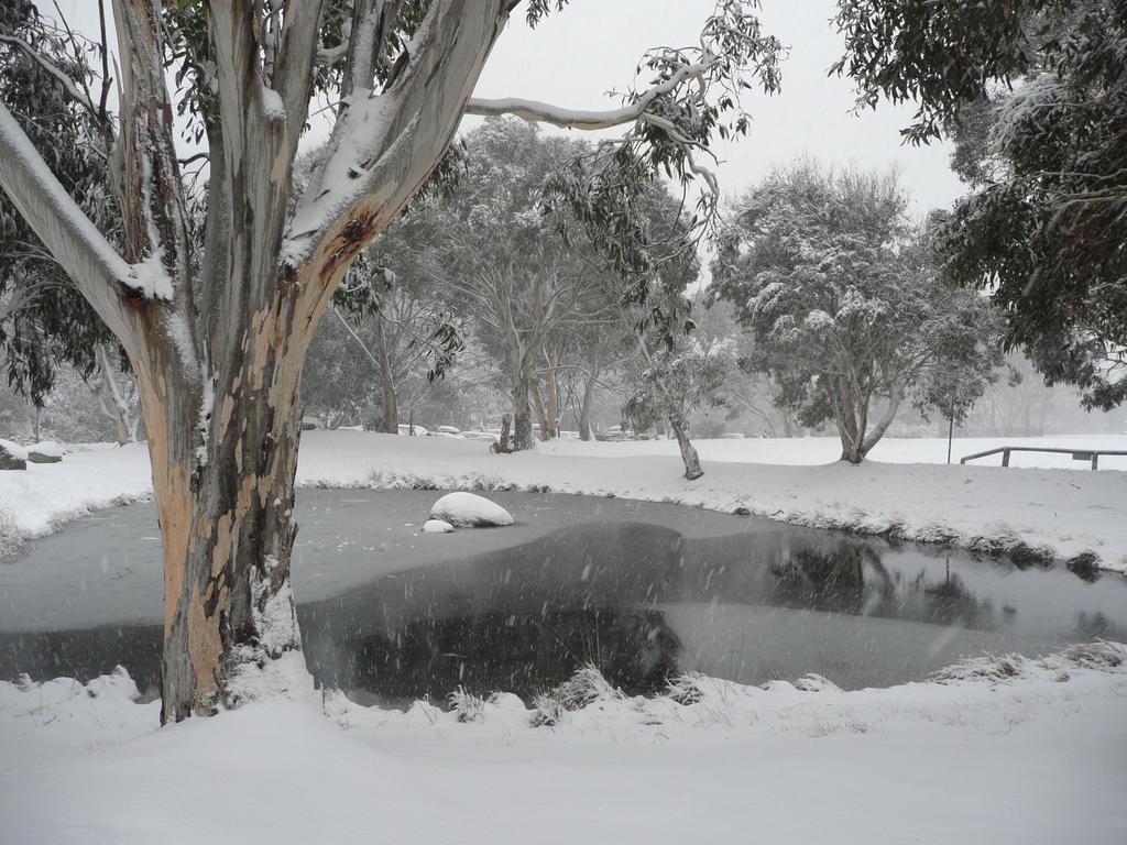 Chill-Out - Thredbo Quarto foto
