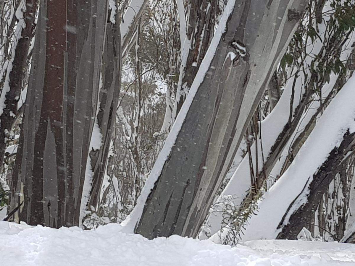 Chill-Out - Thredbo Exterior foto